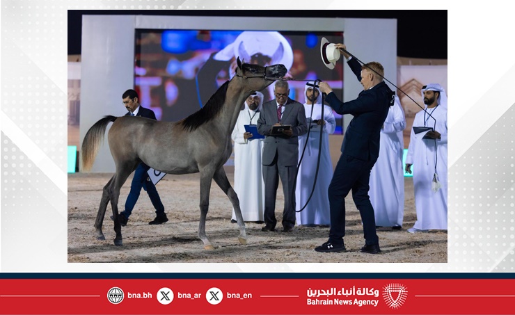 الاتحاد الملكي يستعد لتنظيم بطولة كأس الإمارات العالمي لجمال الخيل العربية